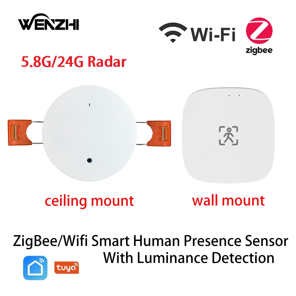 Smart Home Outdoor - ZigBee Wifi MmWave Sensore di movimento
