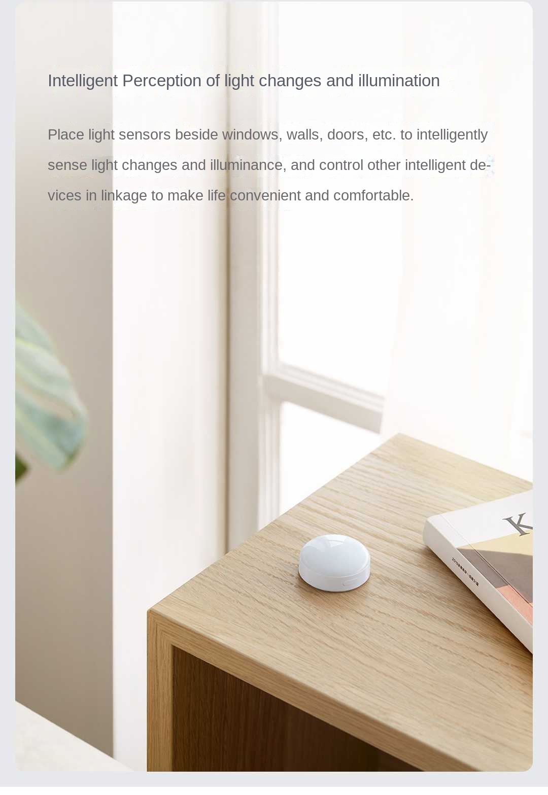 Aqara Sensore di luce T1 Zigbe - Smart Home Group recensione e prezzo