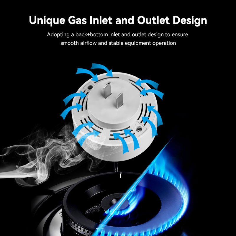 Meian Zigbee Rilevatore di gas - Smart Home Outdoor recensione e prezzo