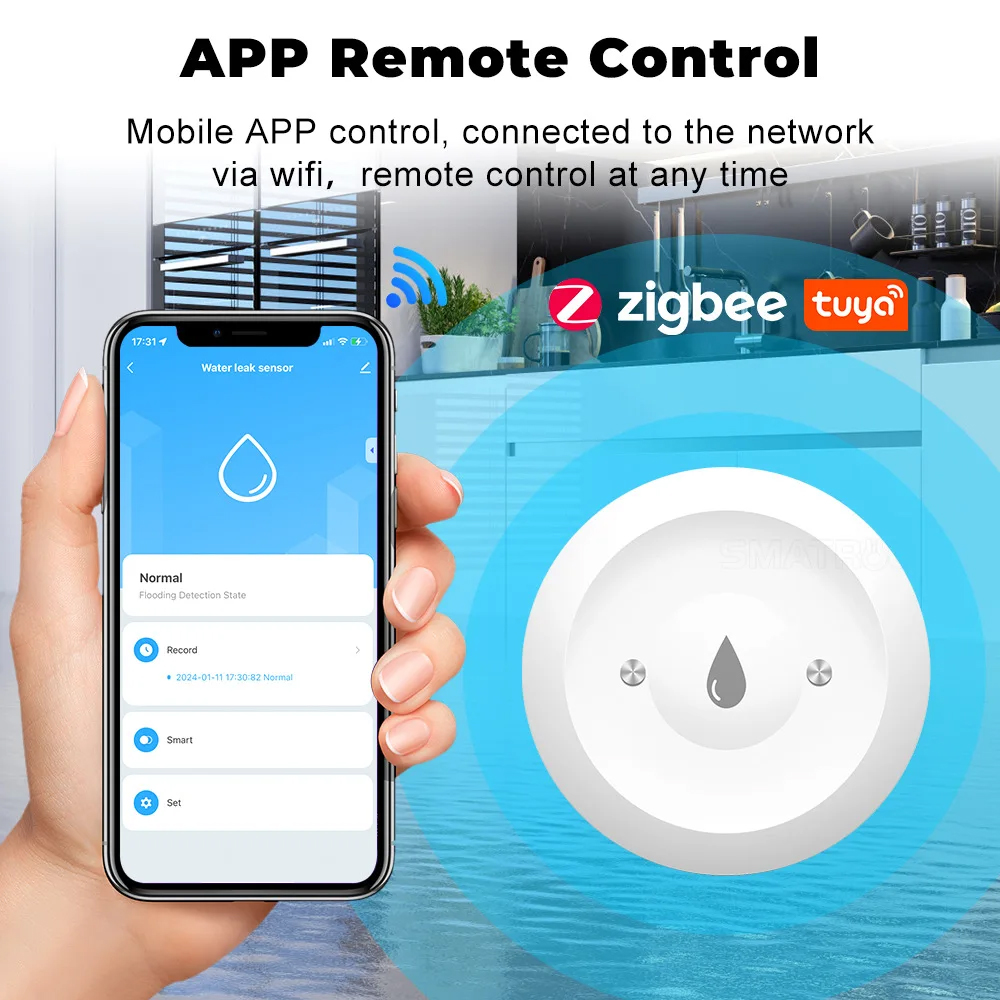 Tuya ZigBee Smart Water Immers - Smart Home Outdoor recensione e prezzo