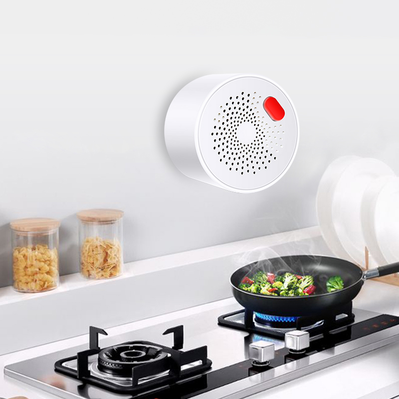 Tuya Smart Home Wifi sensore d - Smart Home Outdoor recensione e prezzo