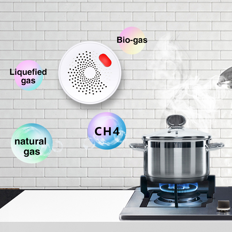 Tuya Smart Home Wifi sensore d - Smart Home Outdoor recensione e prezzo