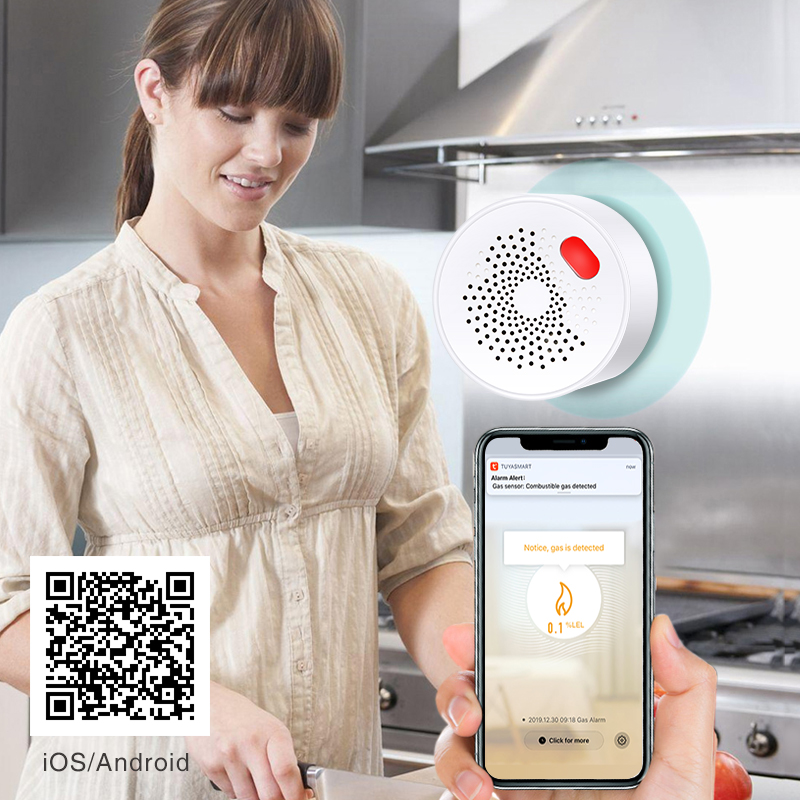 Tuya Smart Home Wifi sensore d - Smart Home Outdoor recensione e prezzo
