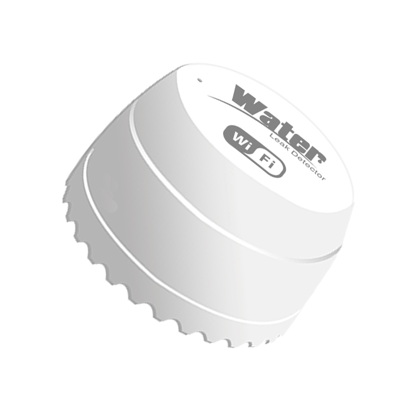 Rilevatore di perdite d'acqua  - Smart Home Outdoor recensione e prezzo